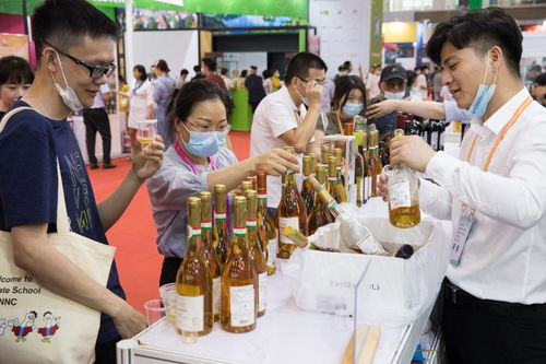 外資加速流入我國攝影擴印服務領域，前五個月同比激增35.4%